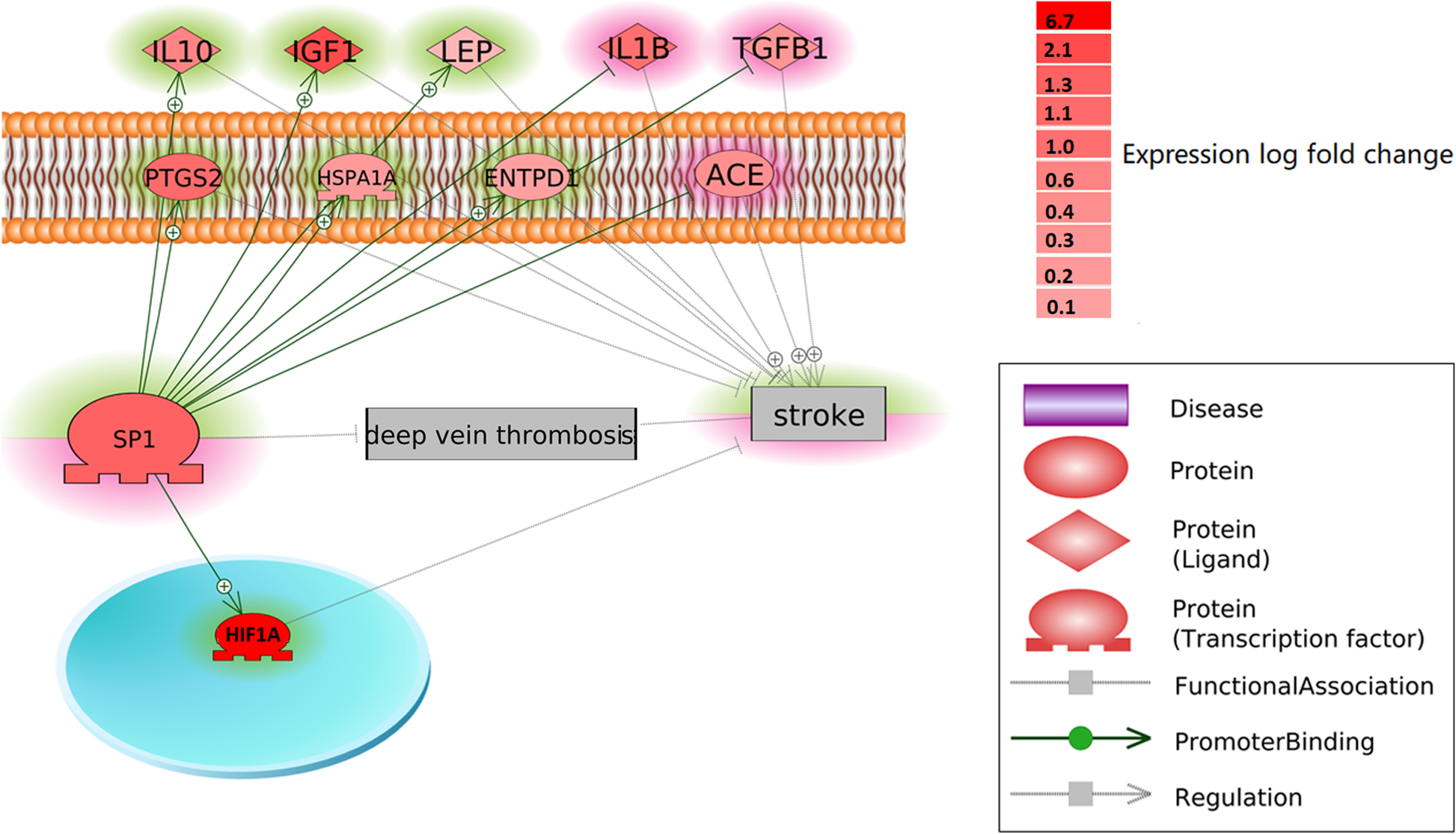 Fig. 2