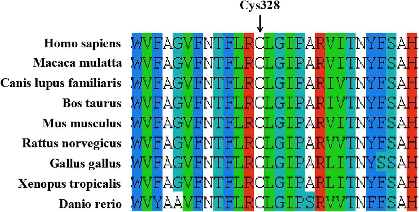 Fig. 2