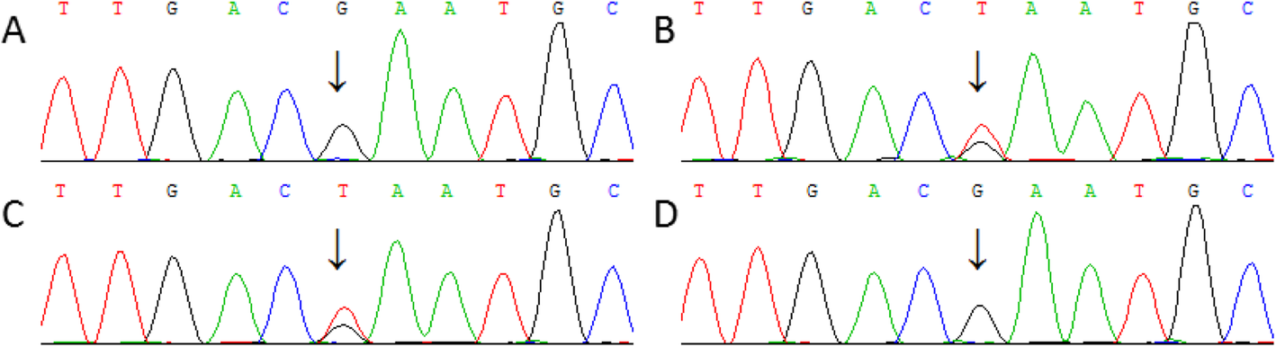 Fig. 3