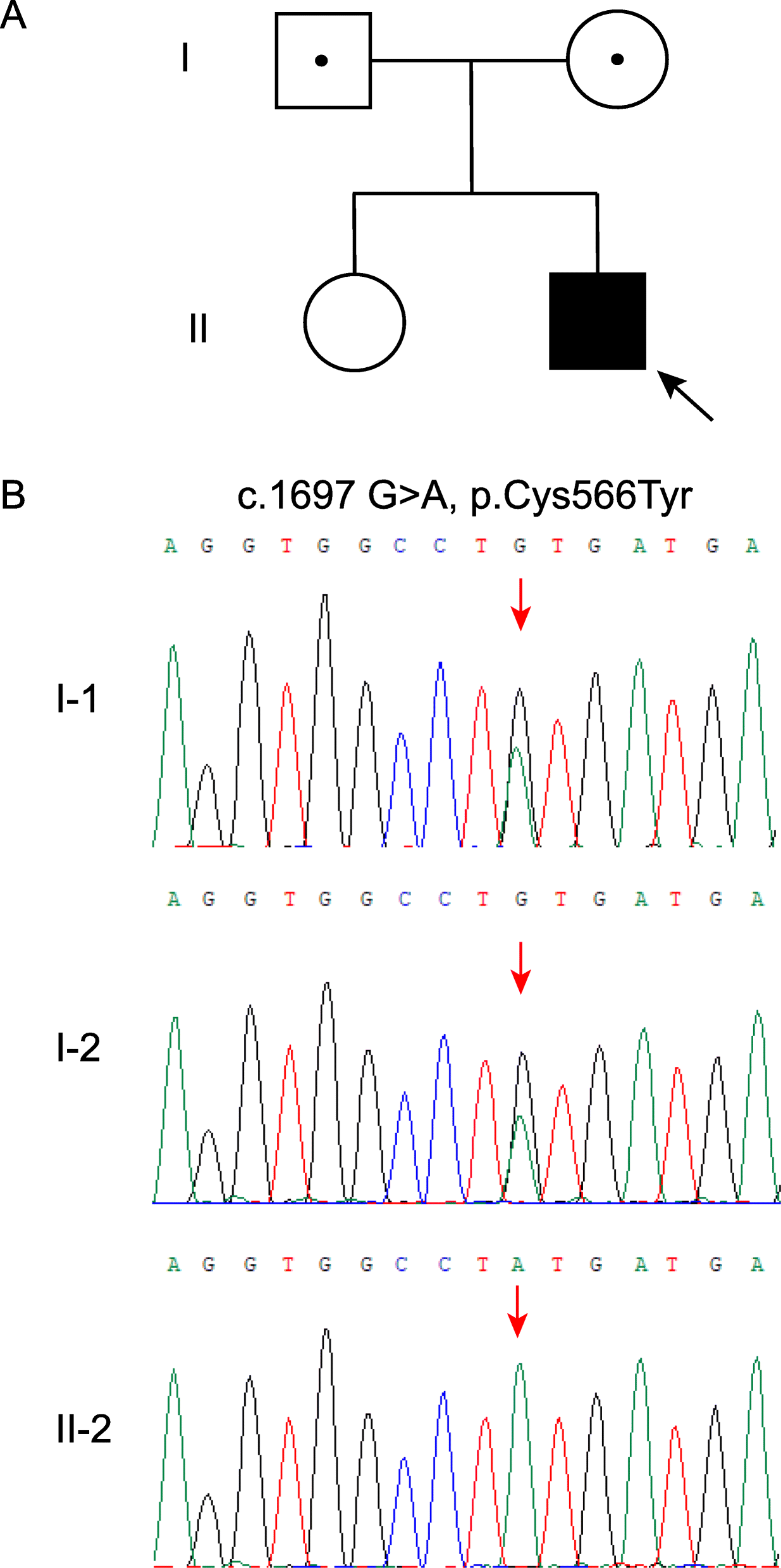 Fig. 1