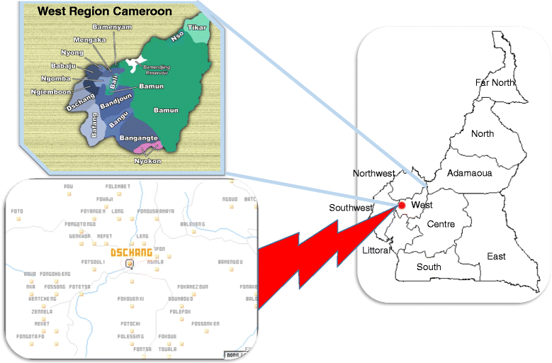 Fig. 1