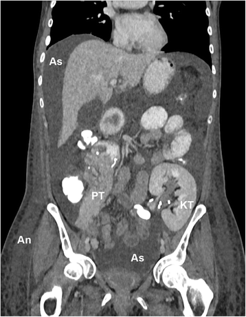 Fig. 1.