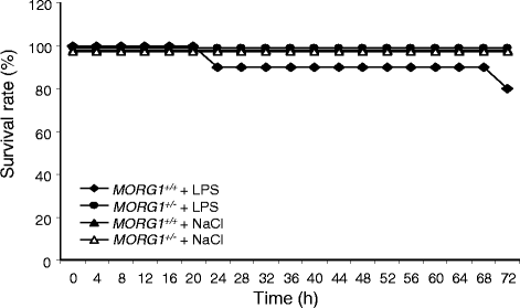 Fig. 9