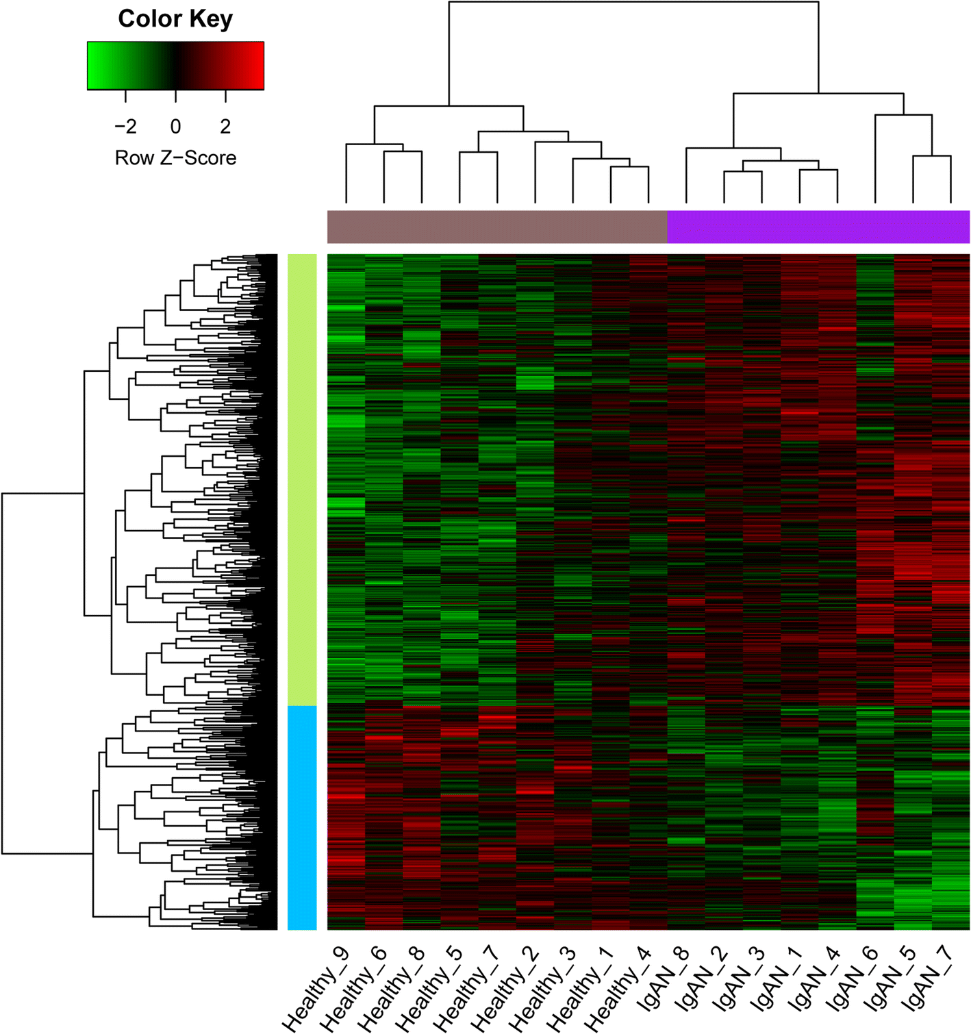 Fig. 1