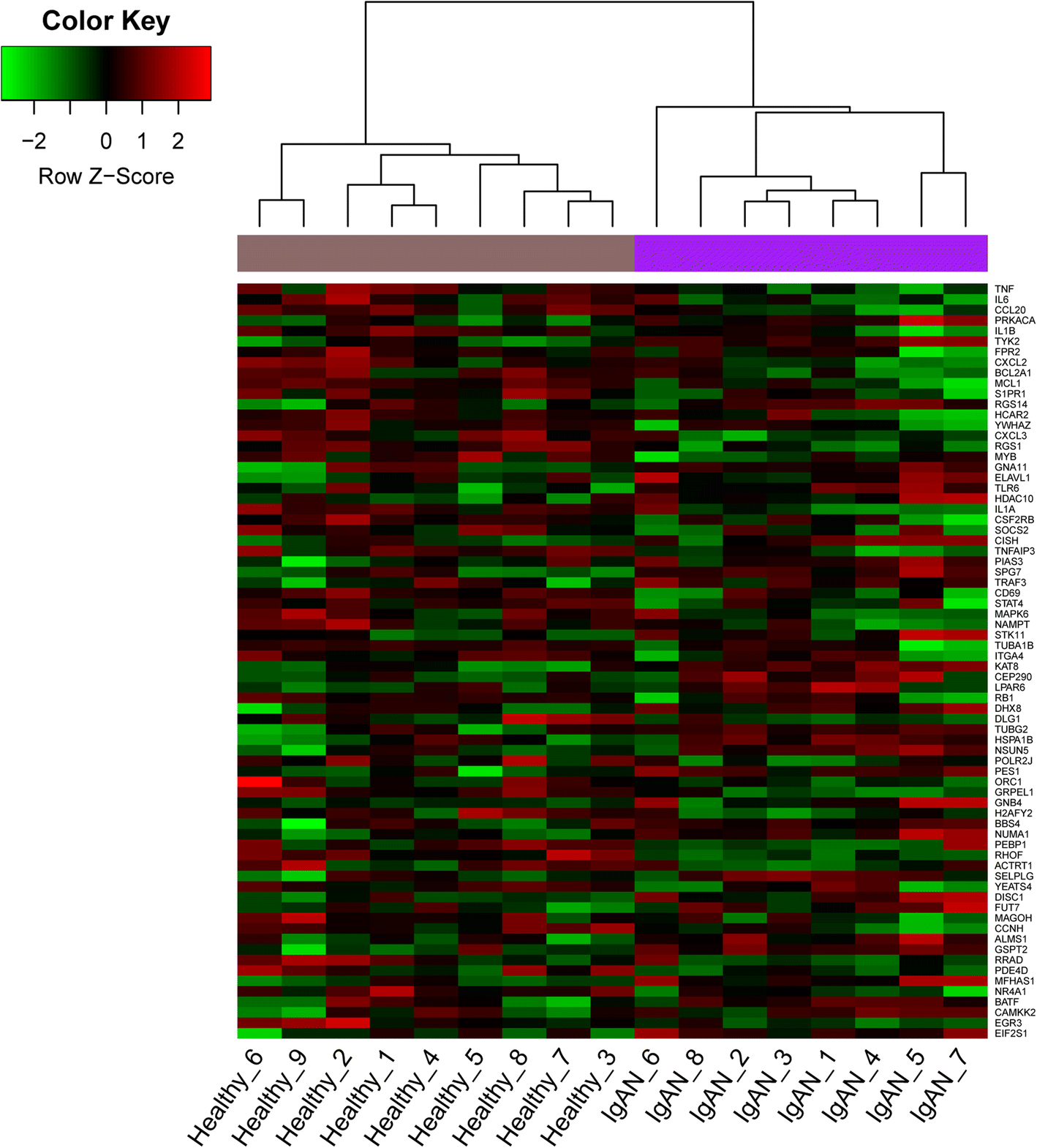 Fig. 3