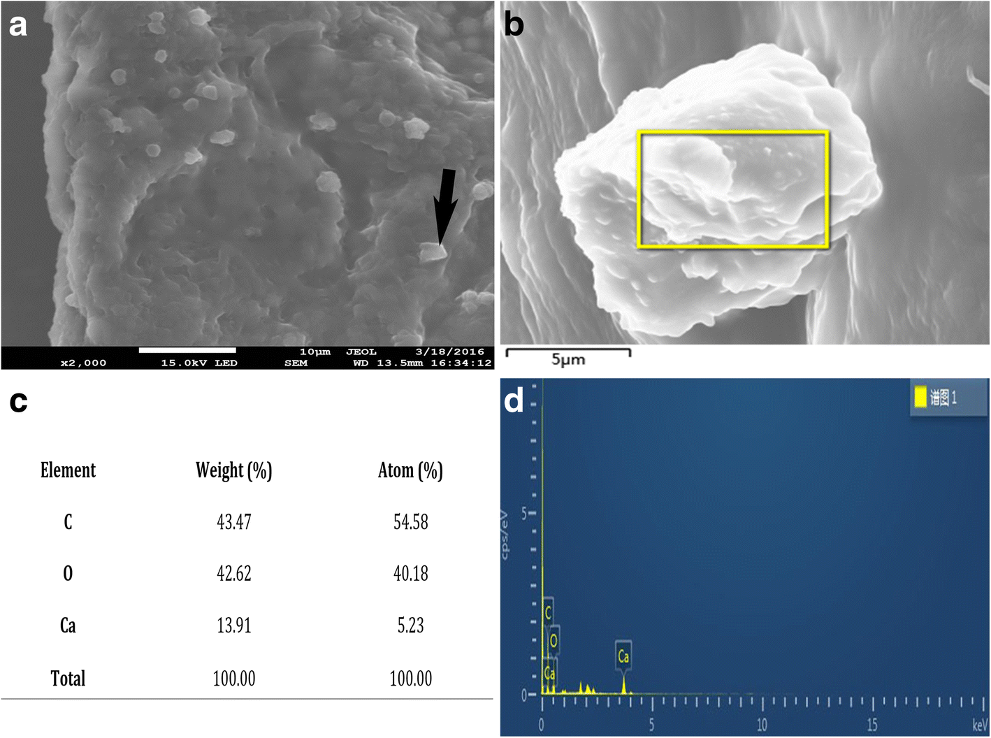 Fig. 5