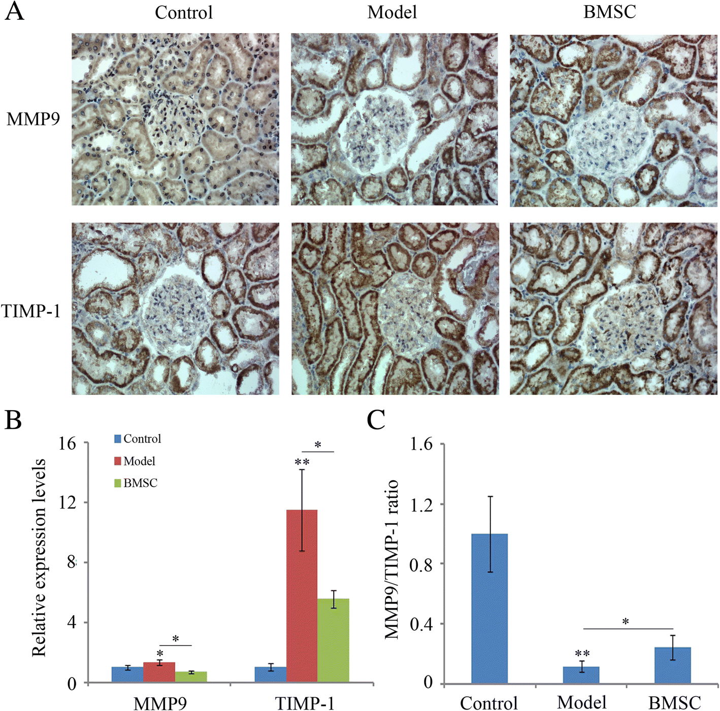 Fig. 8