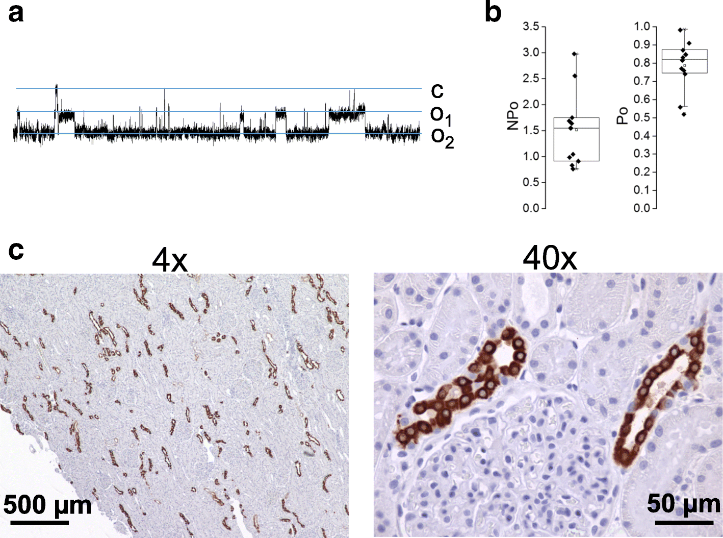 Fig. 4