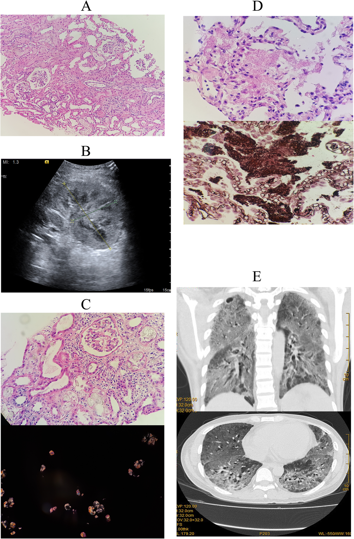 Fig. 3