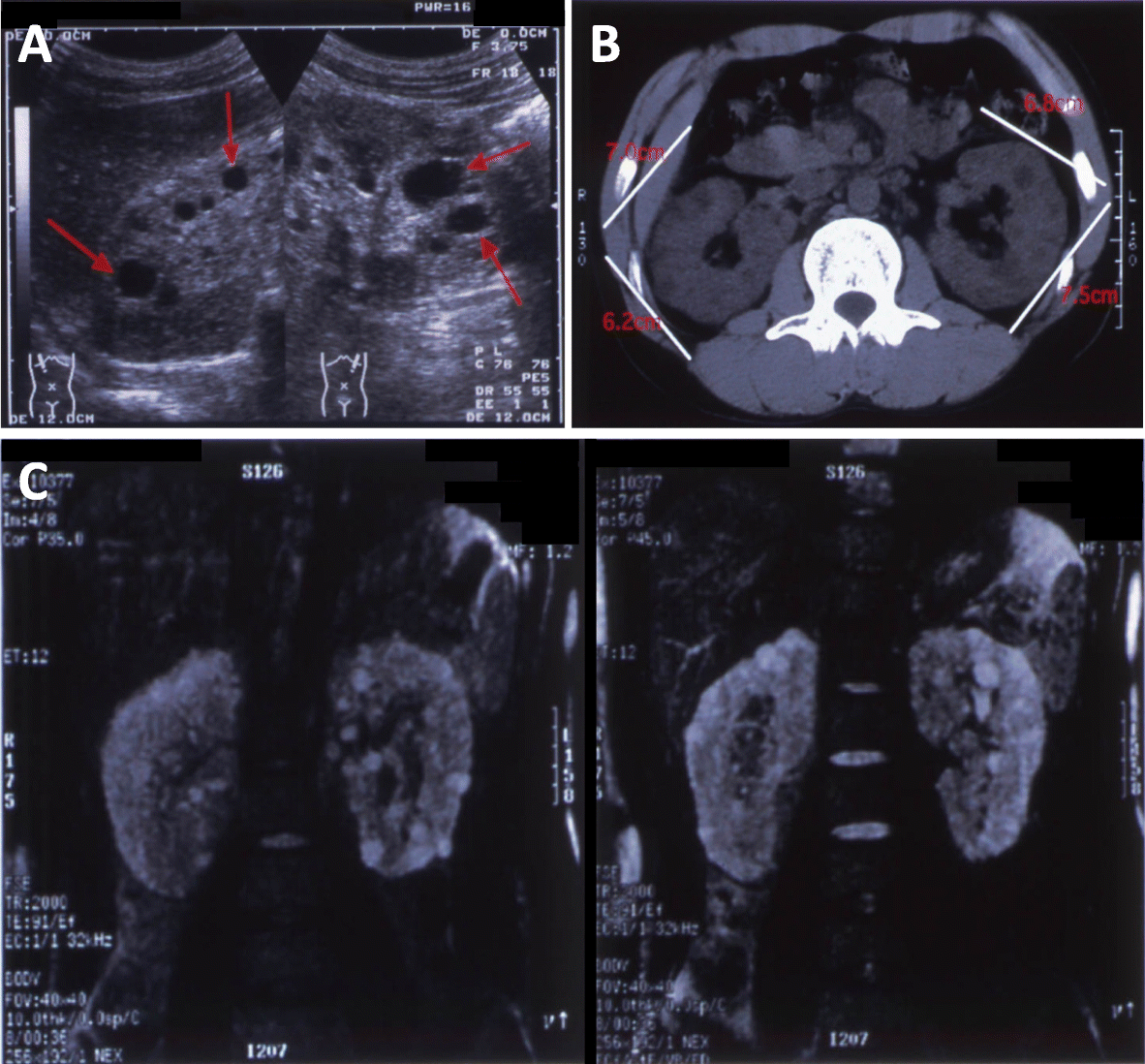 Fig. 2