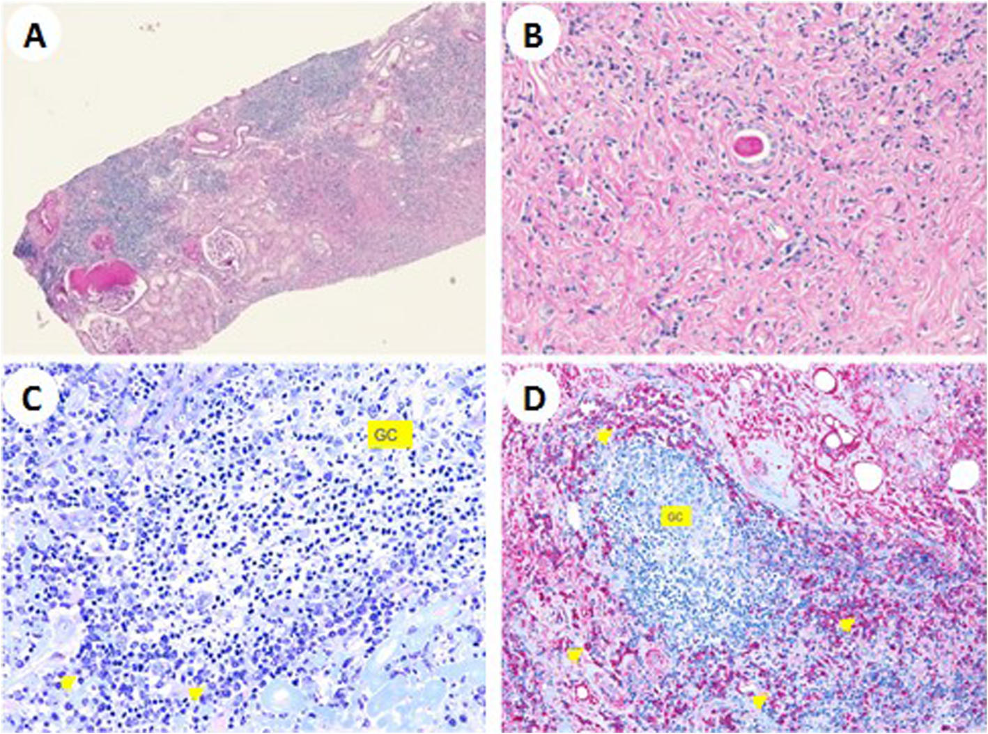 Fig. 2