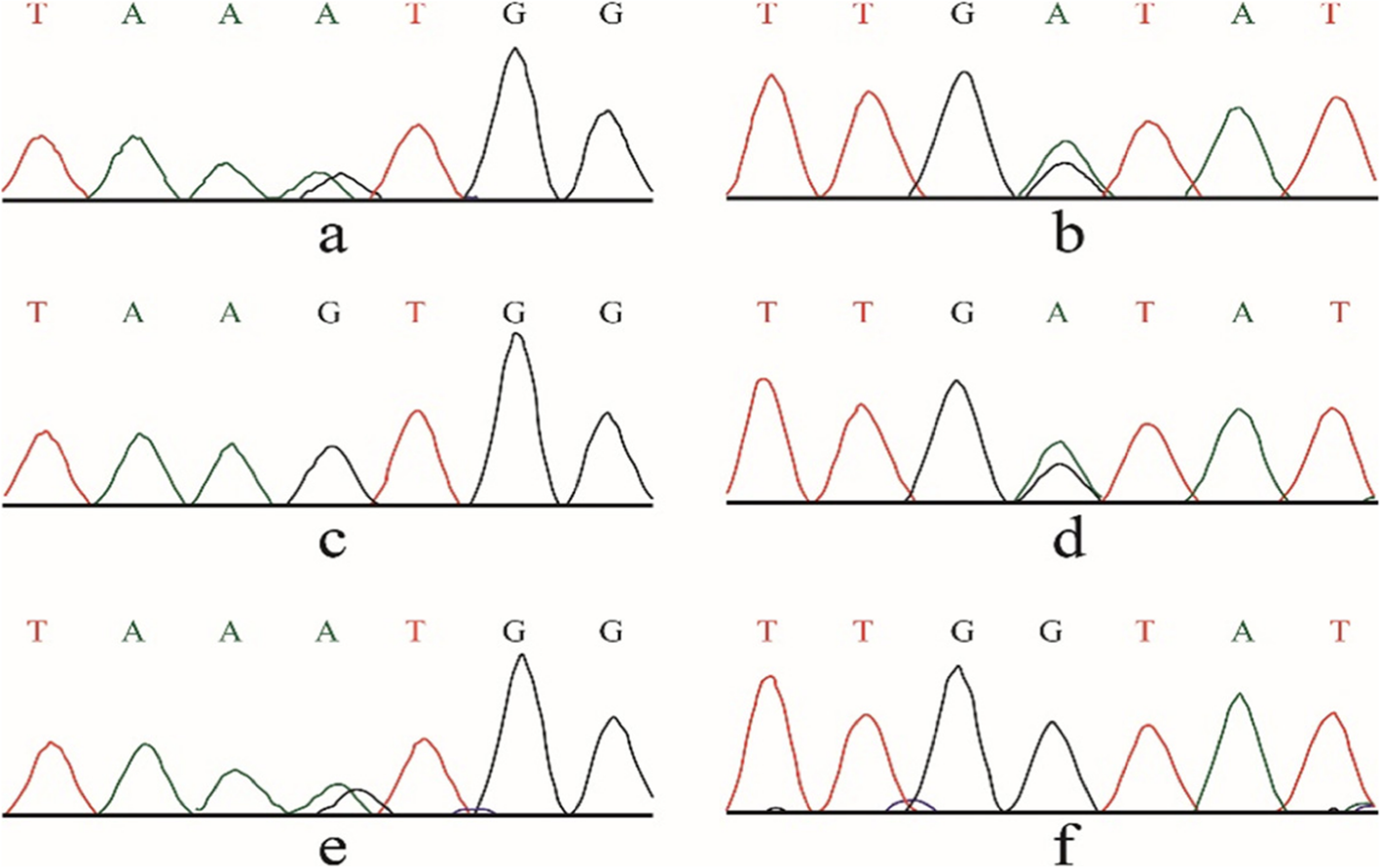 Fig. 4