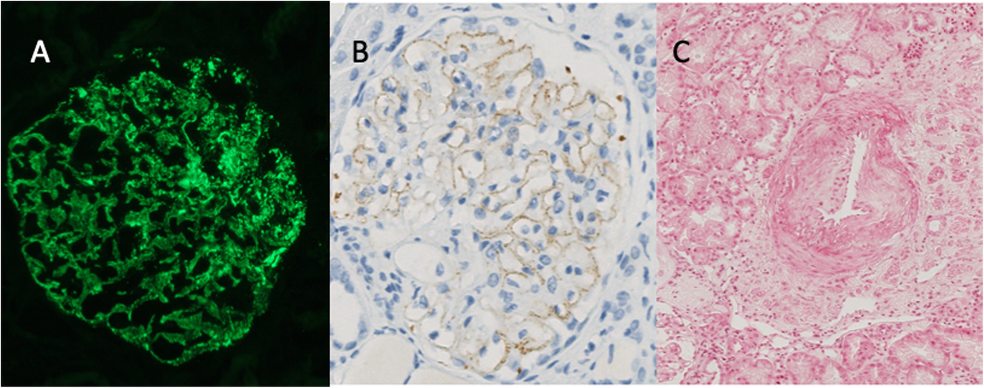 Fig. 1