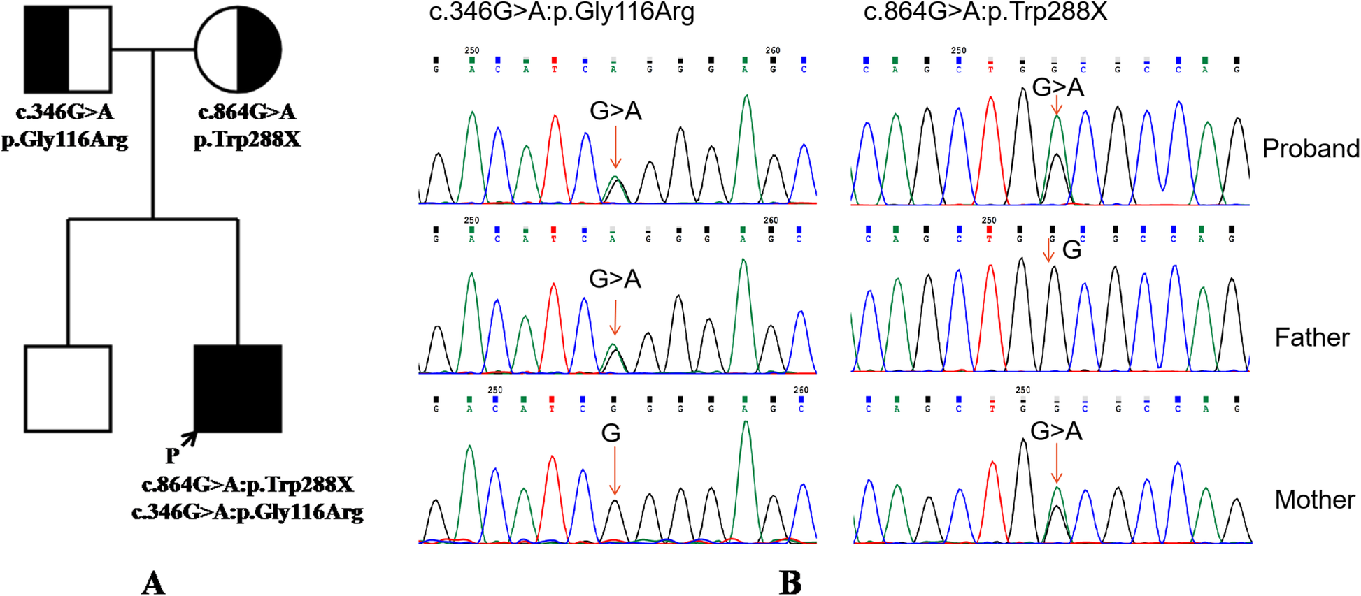 Fig. 3