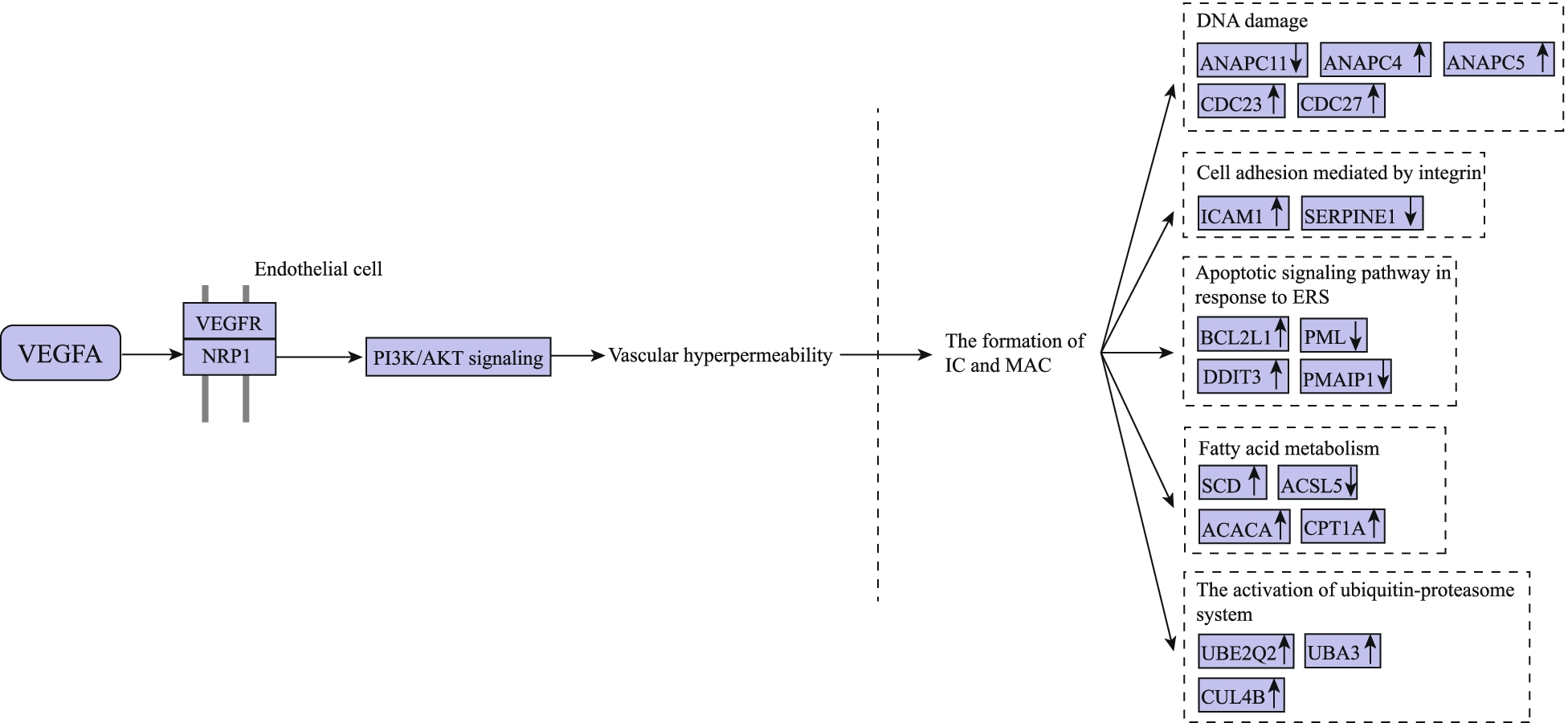 Fig. 9