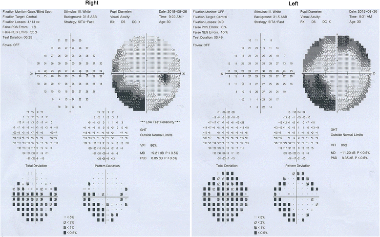 Fig. 6