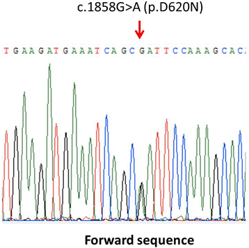 Fig. 3