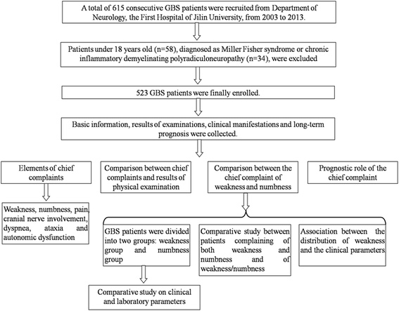 Pathophysiology Of Guillain Barre Syndrome In Flow Chart