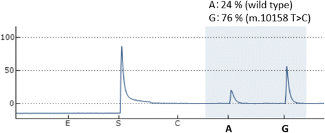 Fig. 4