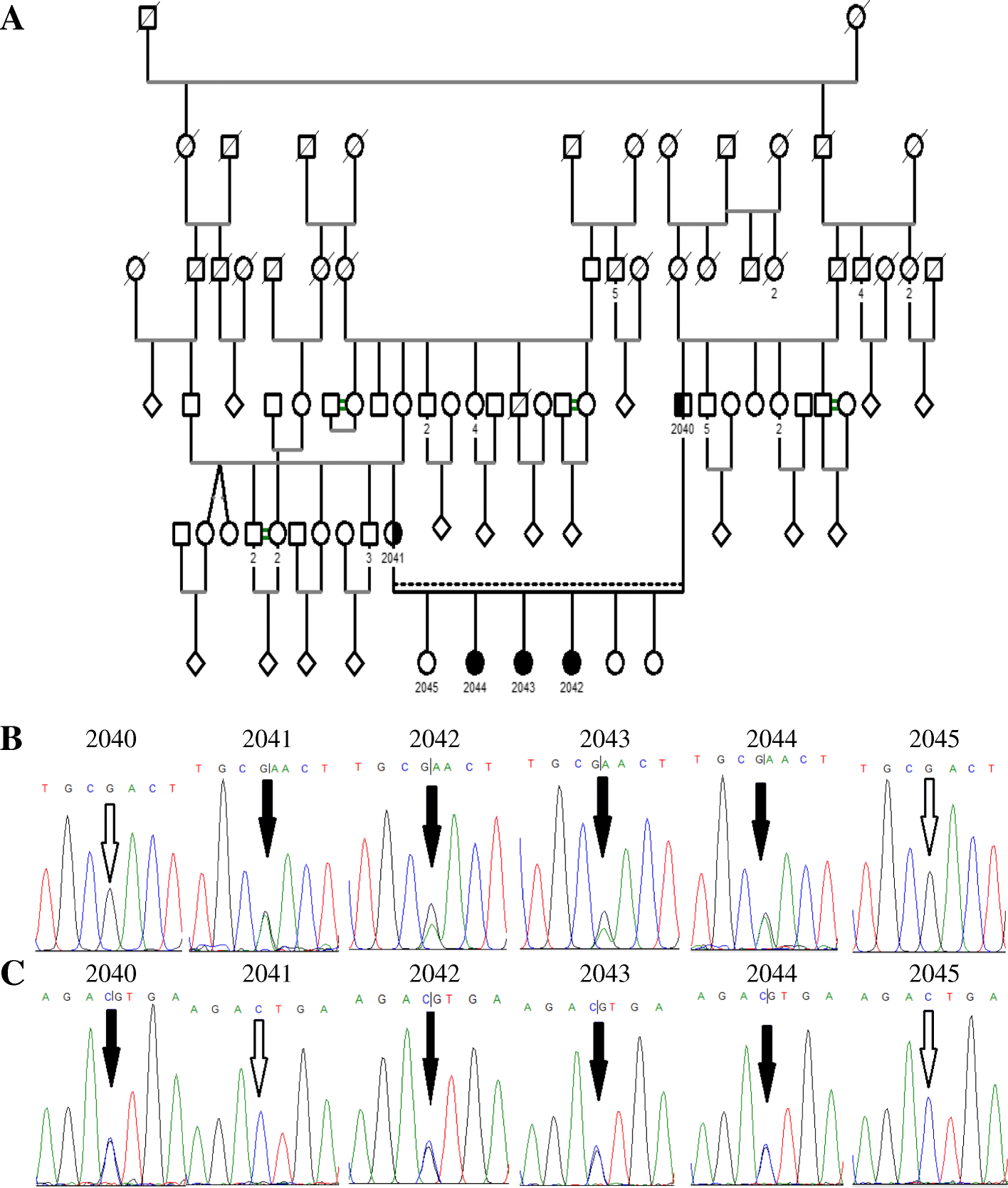 Fig. 2