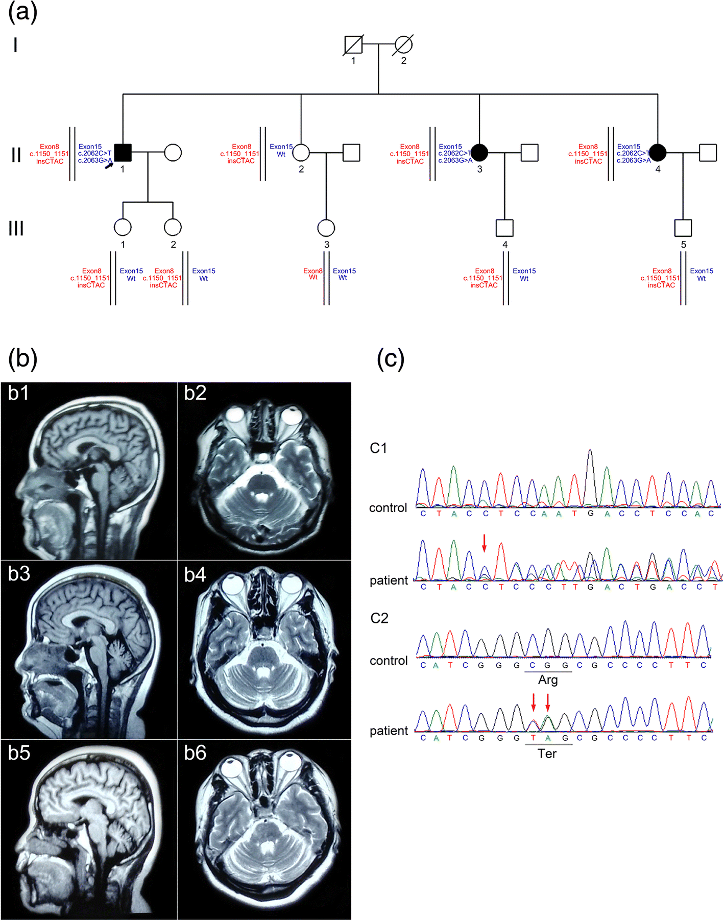 Fig. 1