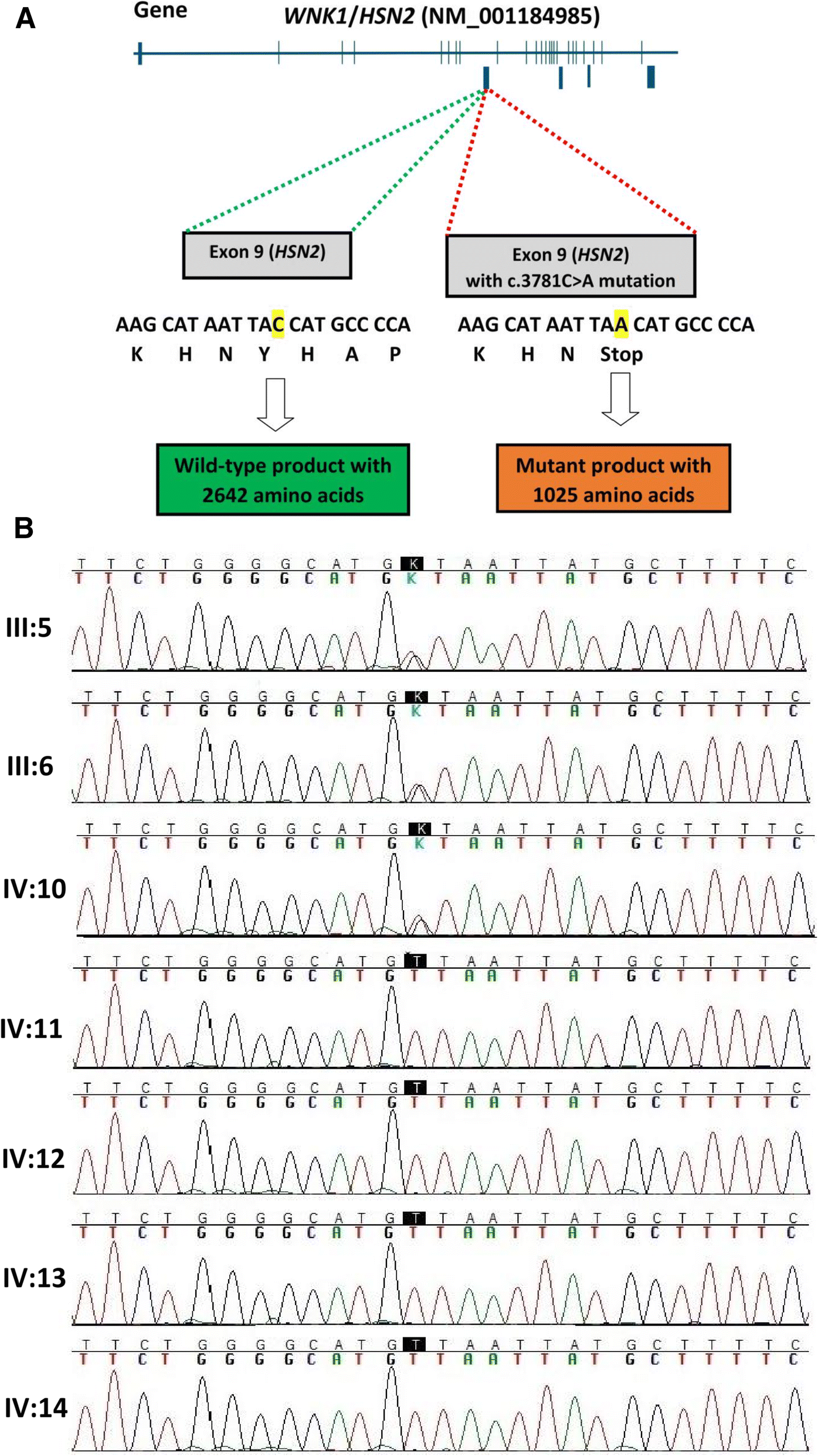 Fig. 3