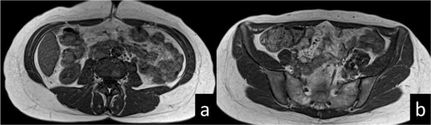 Fig. 5