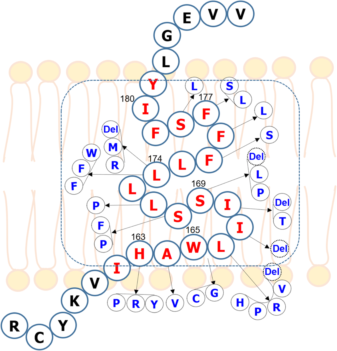 Fig. 6