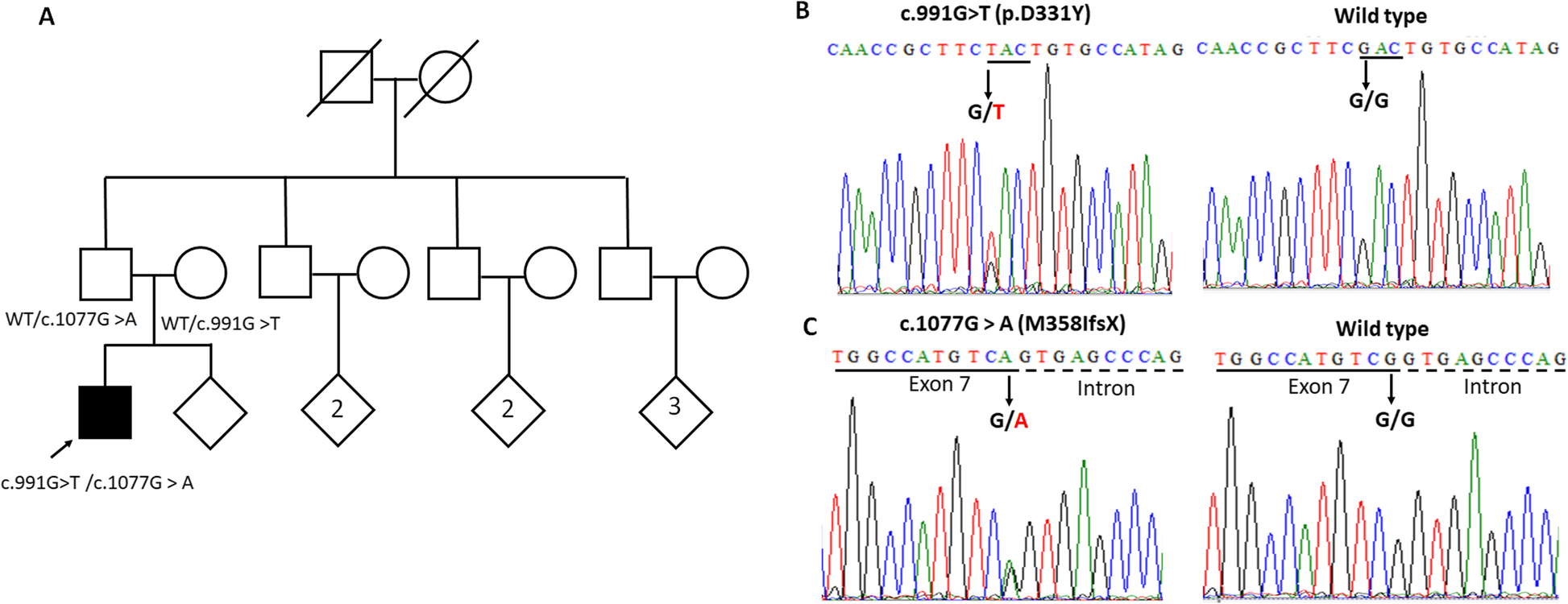 Fig. 1