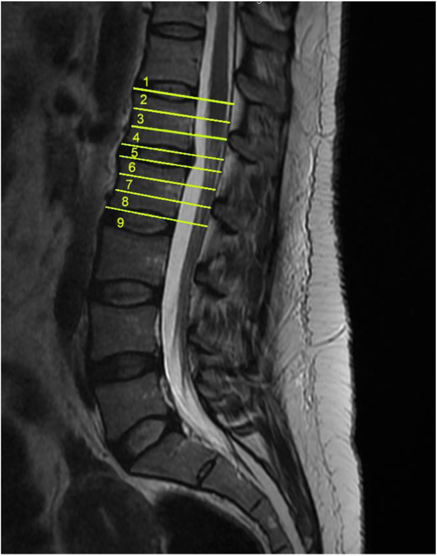 Fig. 7