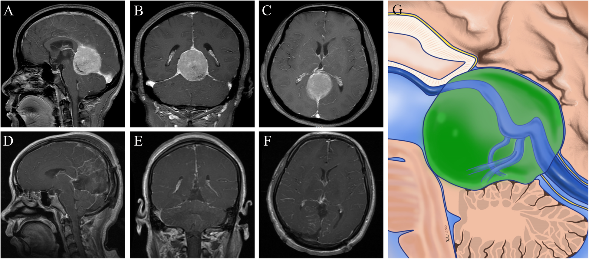 Fig. 5