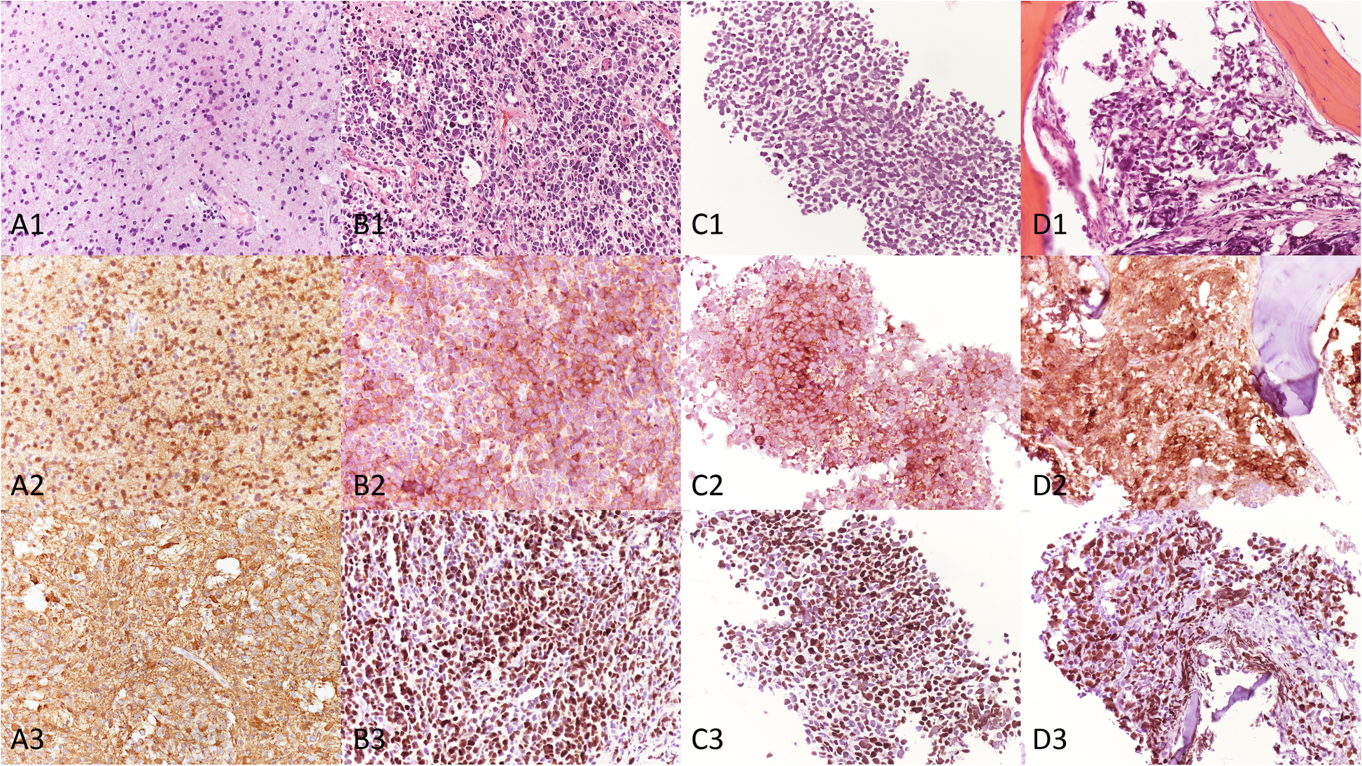 Fig. 2