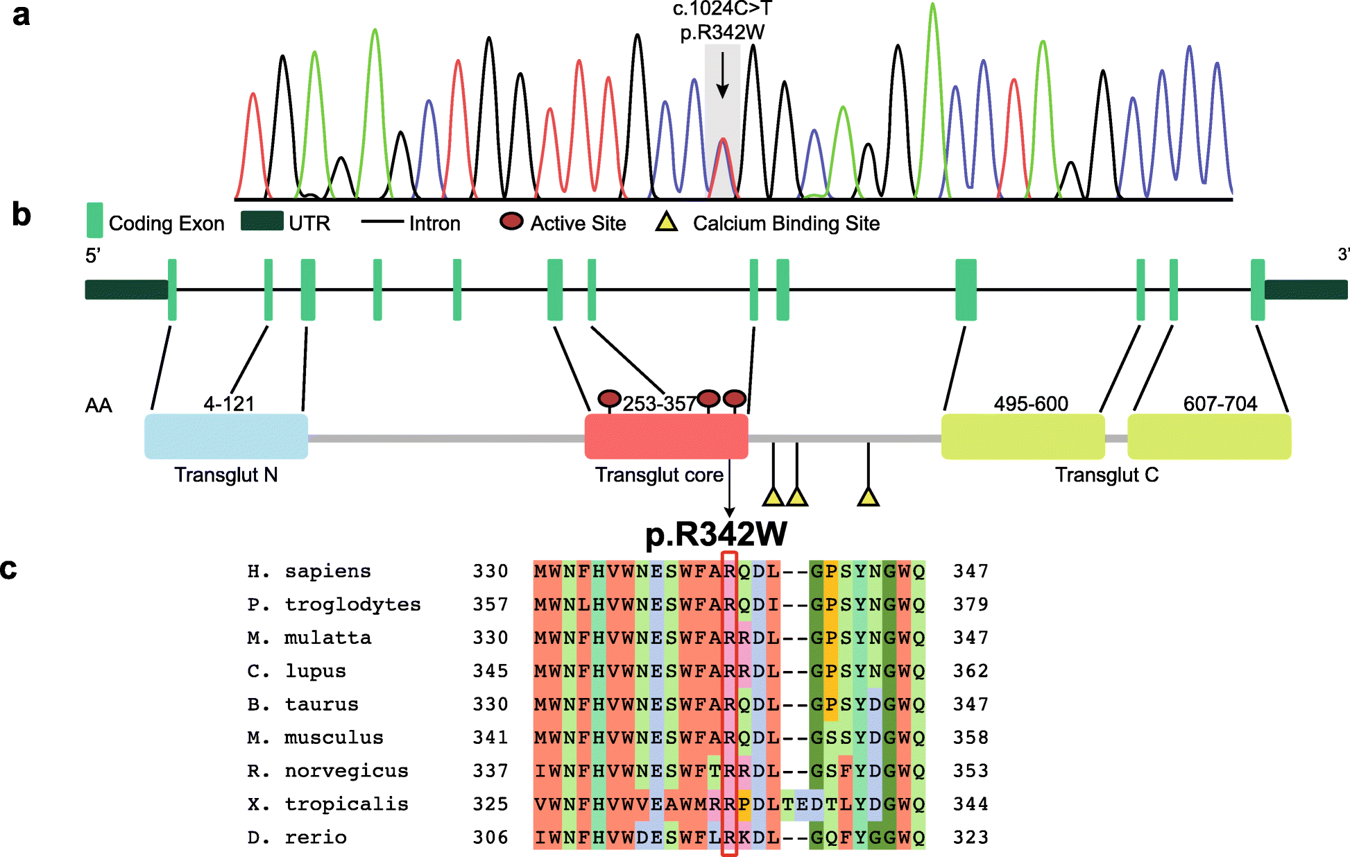 Fig. 2