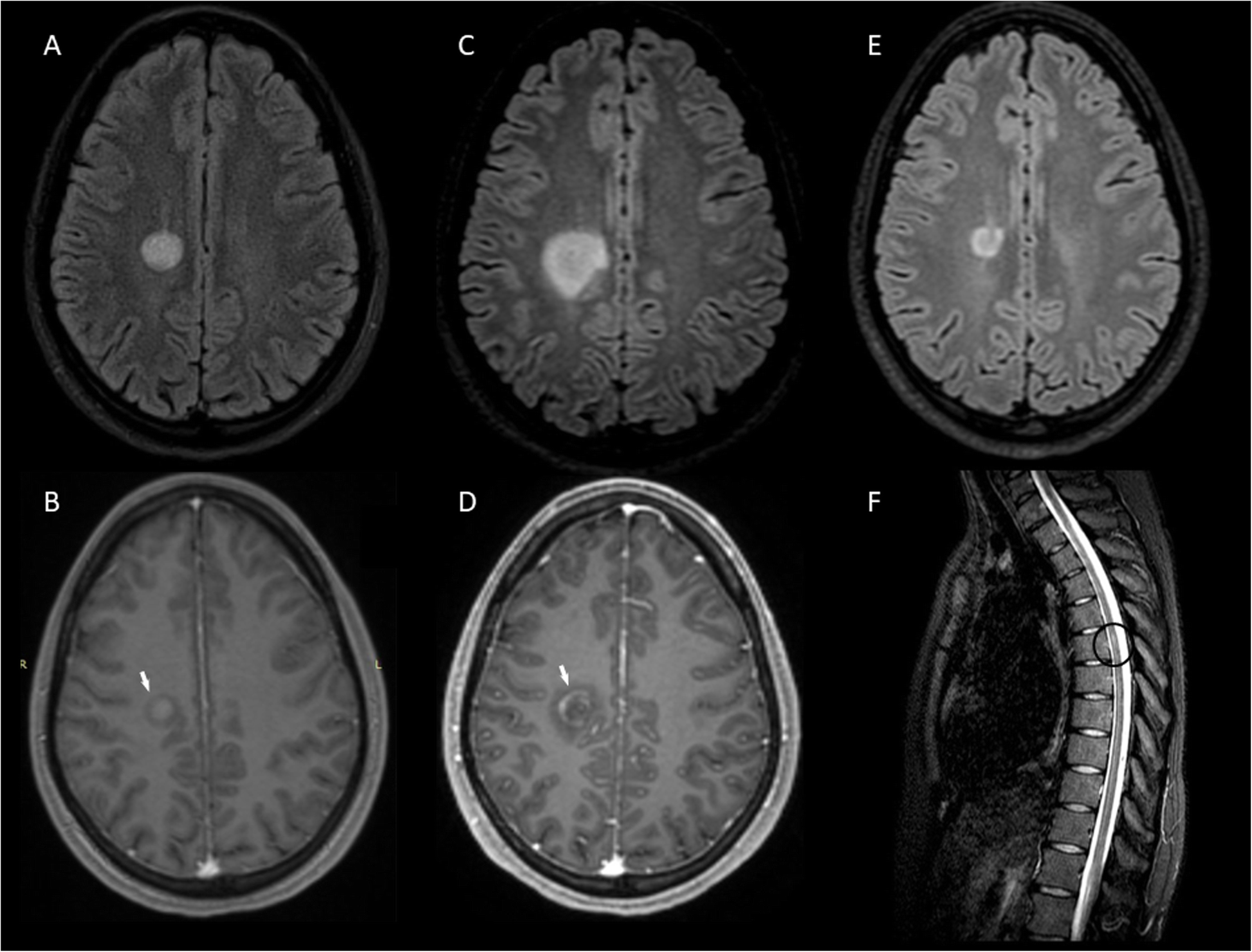 Fig. 4