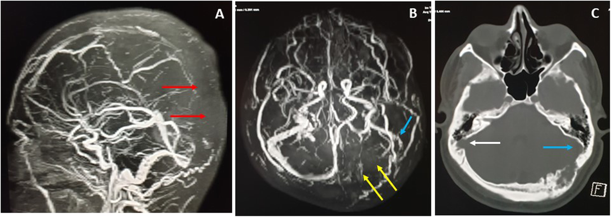 Fig. 8