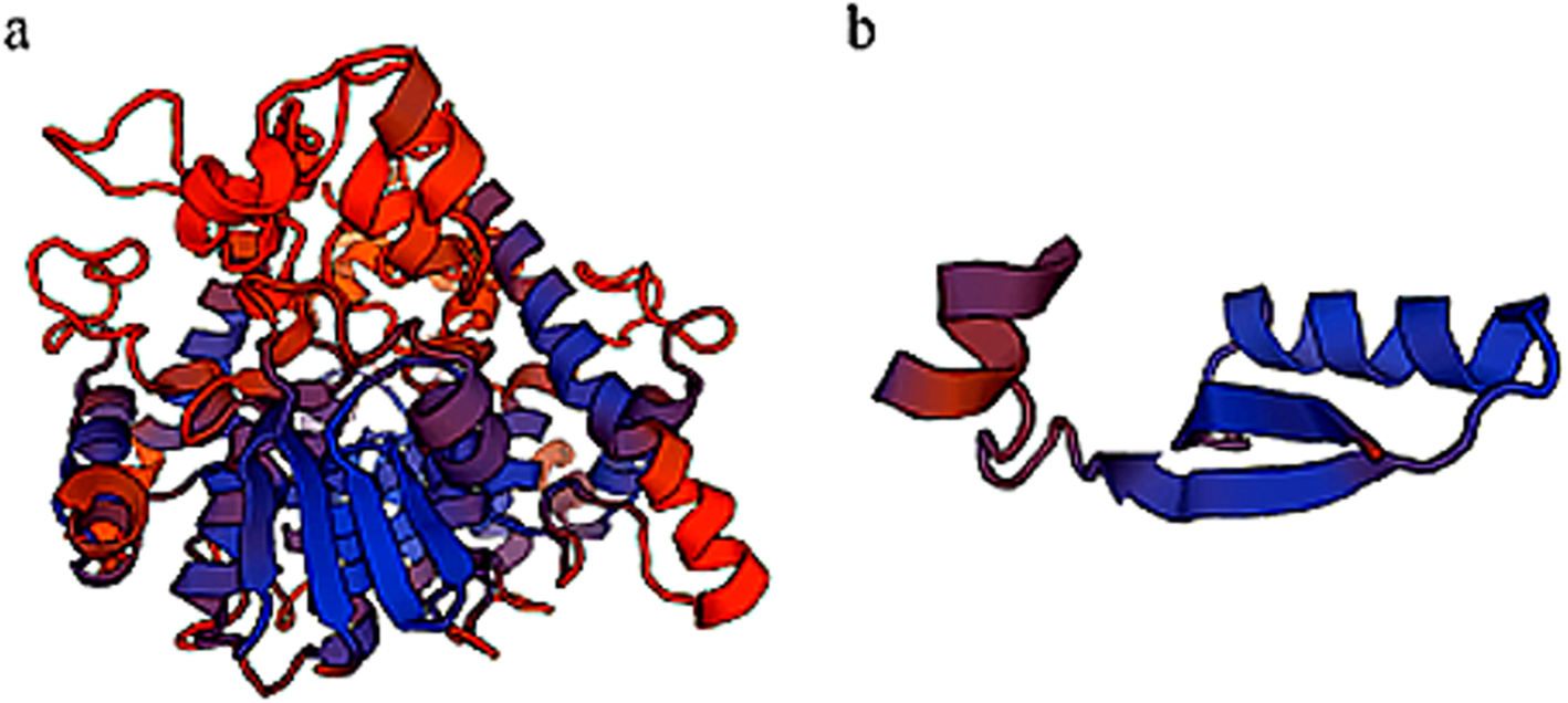 Fig. 5