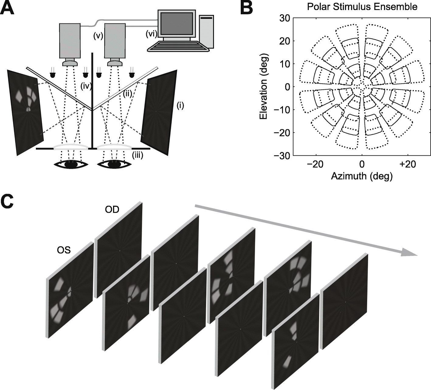 Fig. 2