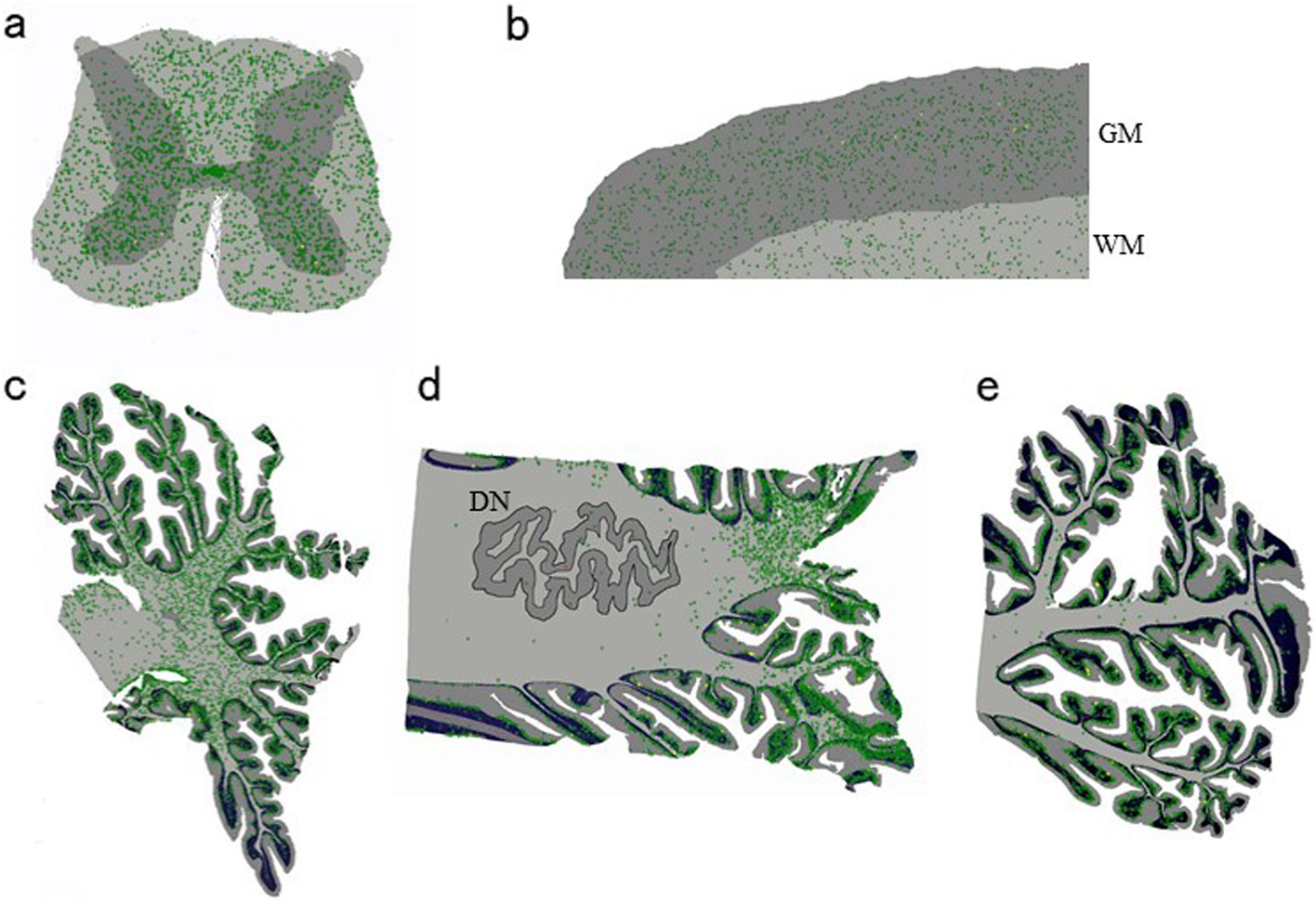 Fig. 5