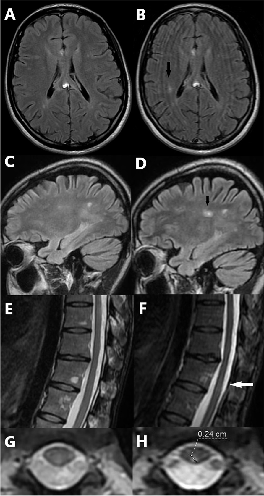 Fig. 3