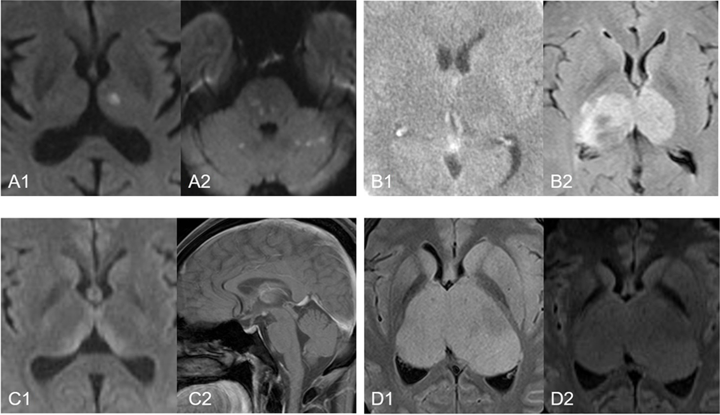 Fig. 8