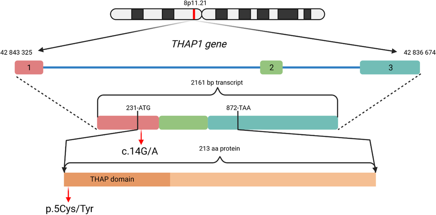 Fig. 1