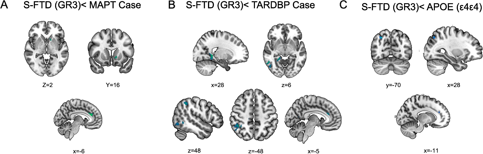 Fig. 6