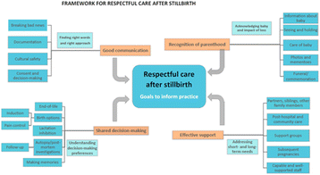 Fig. 12 (abstract P79).