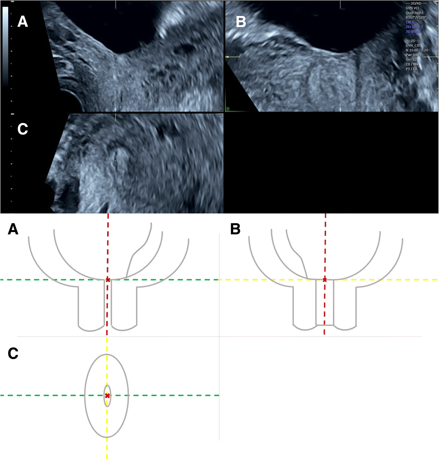 Fig. 5