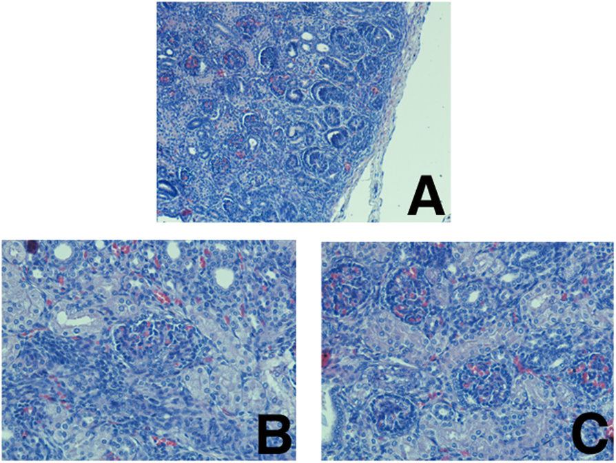 Fig. 8