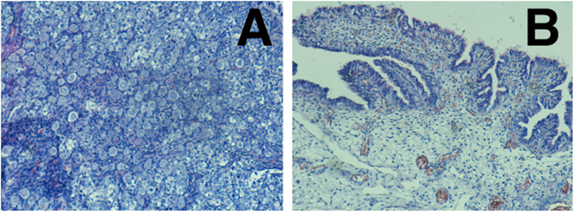 Fig. 9