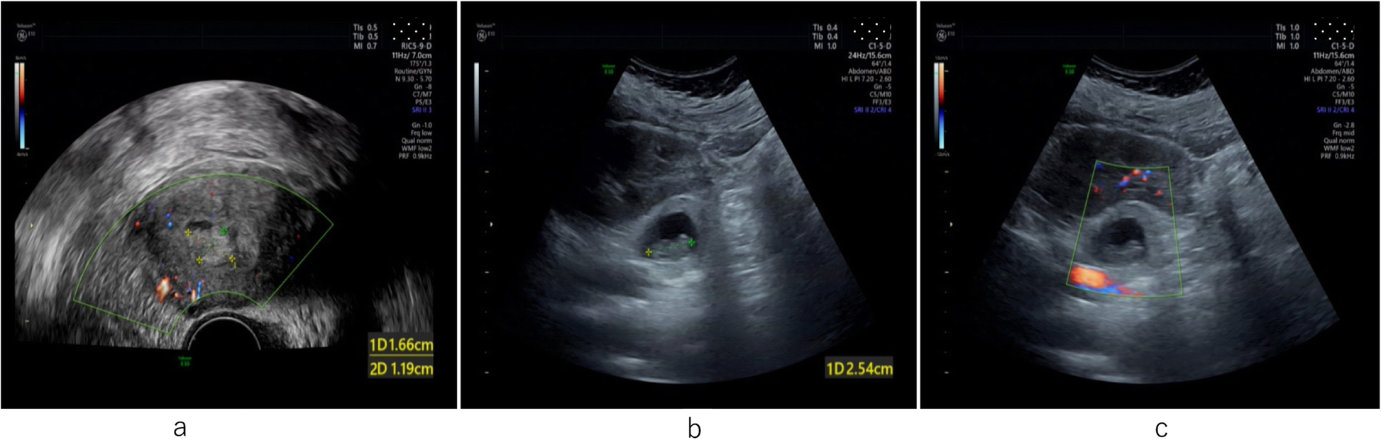 Fig. 3