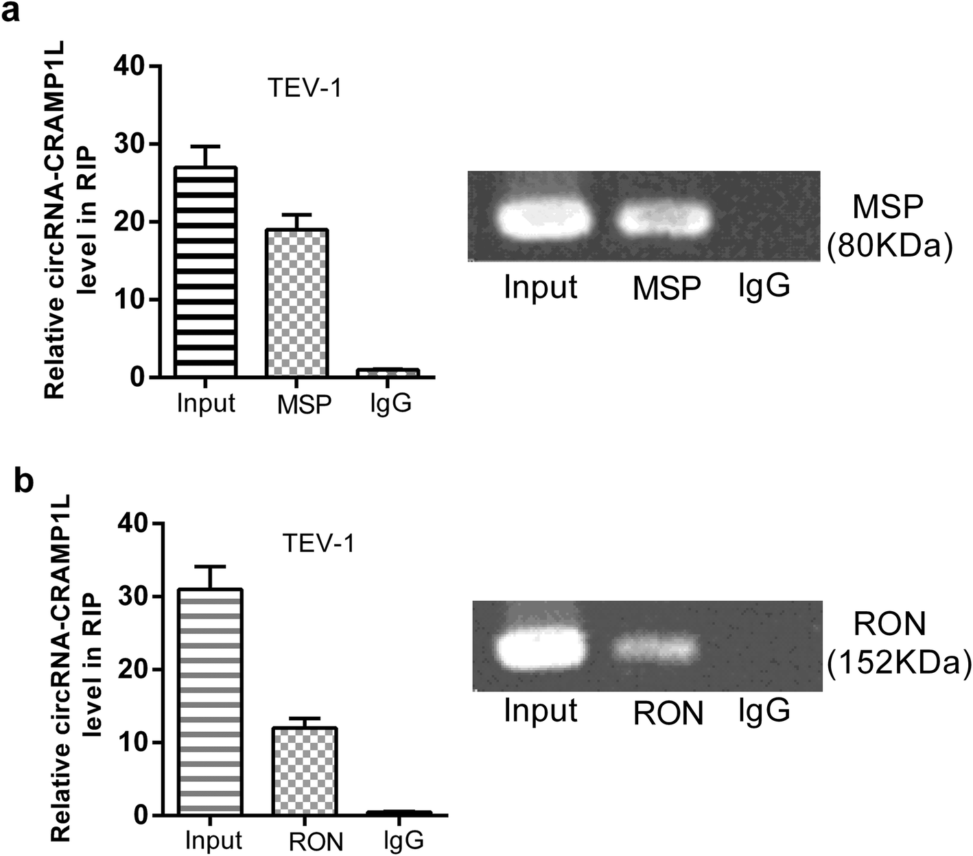 Fig. 9