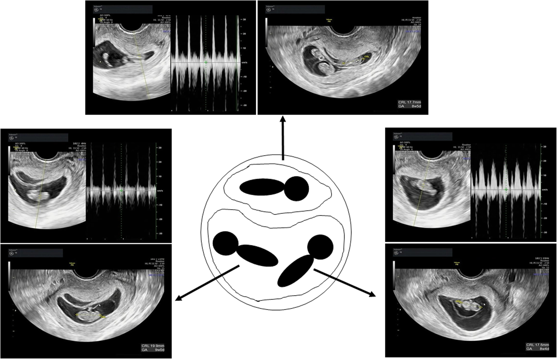 Fig. 3