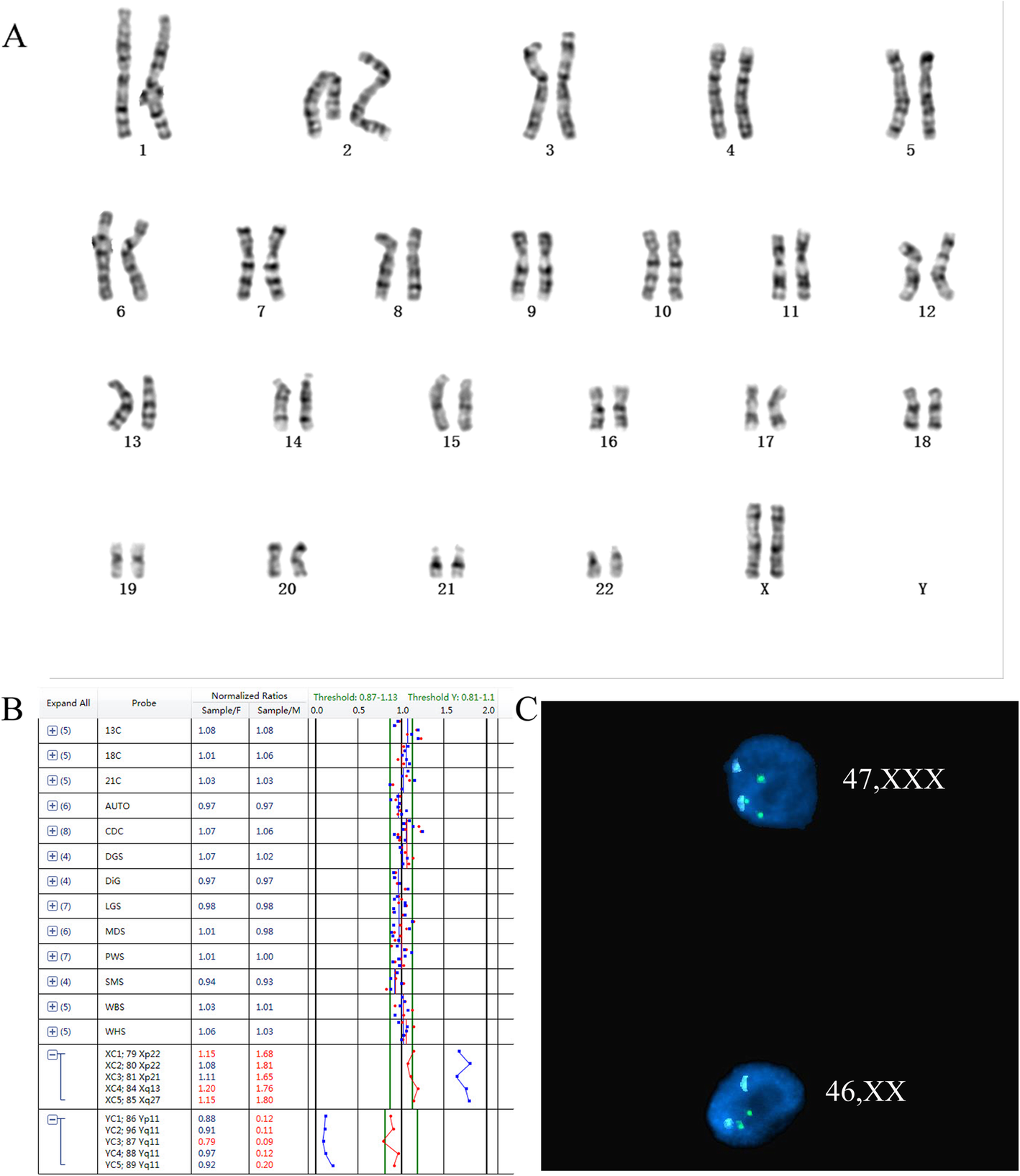 Fig. 2